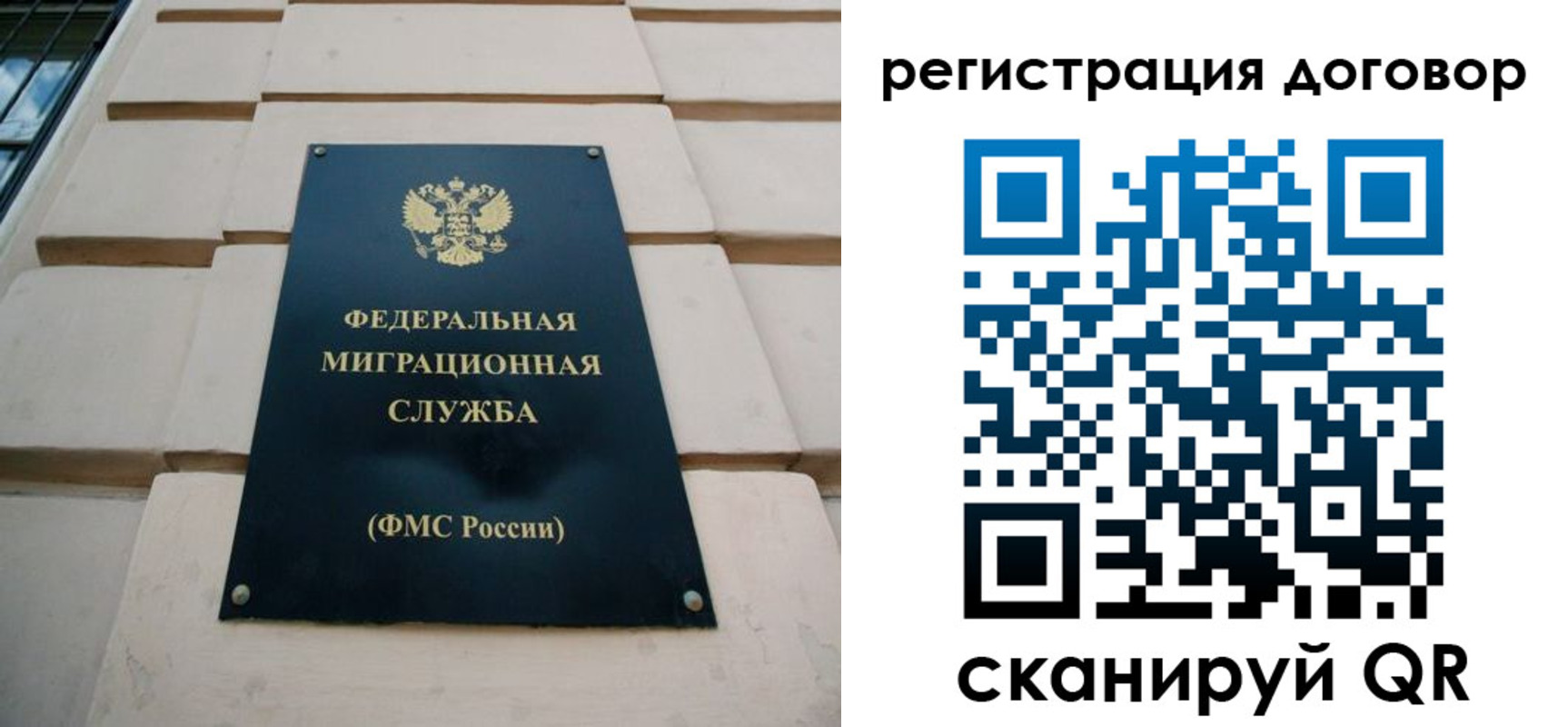прописка в квартире в Фрязино
